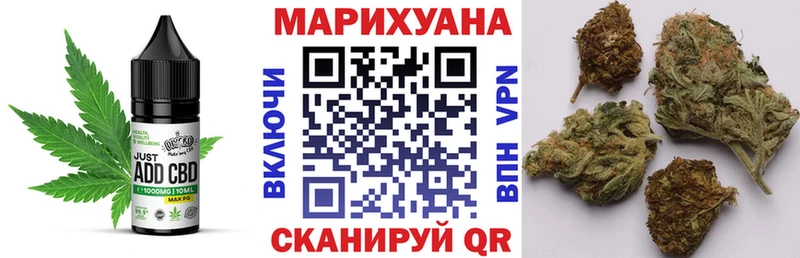 где можно купить   Злынка  гидра ONION  Canna-Cookies конопля 