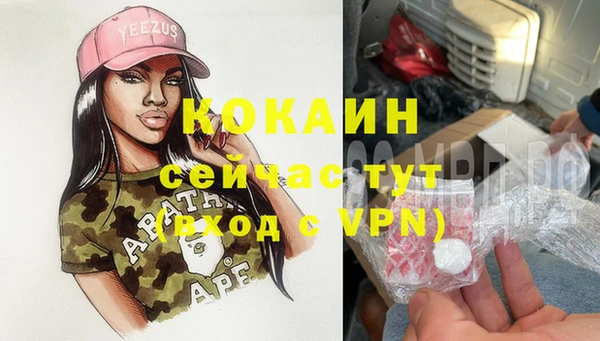 дмт Абаза