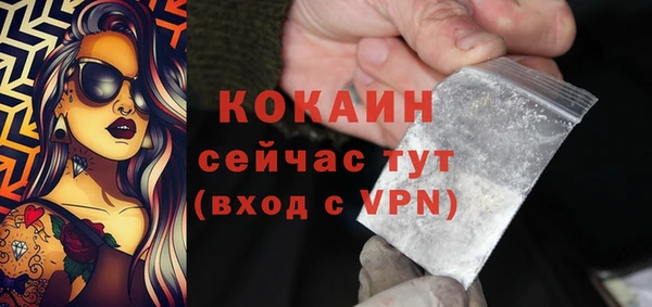 дмт Абаза