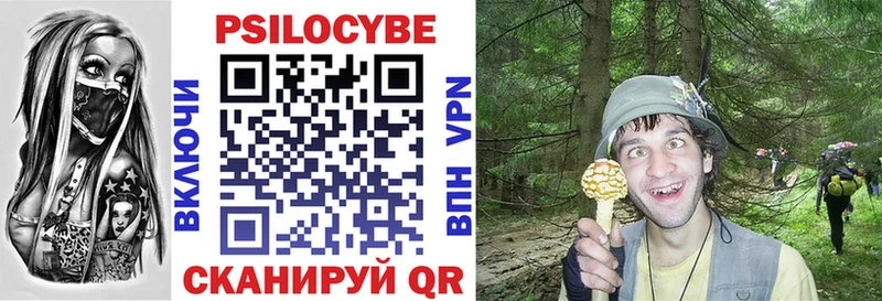 Псилоцибиновые грибы GOLDEN TEACHER  наркошоп  Злынка 